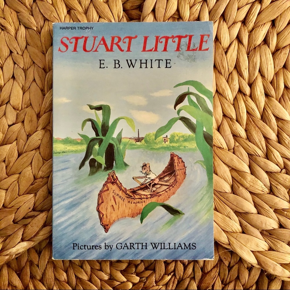Stuart Little Paperback Childrens Book